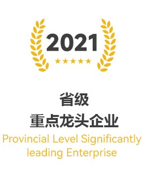2021-重点龙头企业建新轮胎